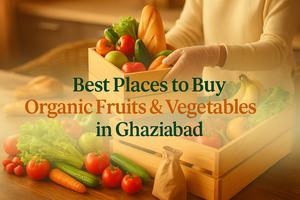 Best Places to Buy Organic Fruits & Vegetables in Ghaziabad – Fresh Buyzar
