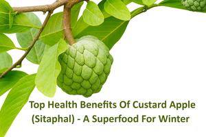 Health Benefits of Custard Apple (Sitaphal) – Winter Superfood