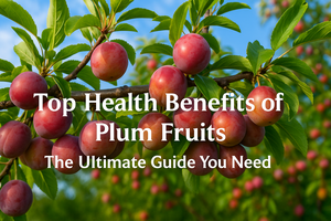 Top Health Benefits of Plums | Ultimate Guide by Fresh Buyzar