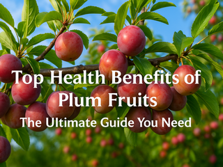 Top Health Benefits of Plums | Ultimate Guide by Fresh Buyzar