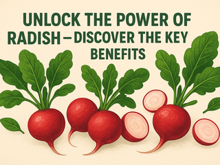 Unlock the Power of Radish – Discover the Key Benefits